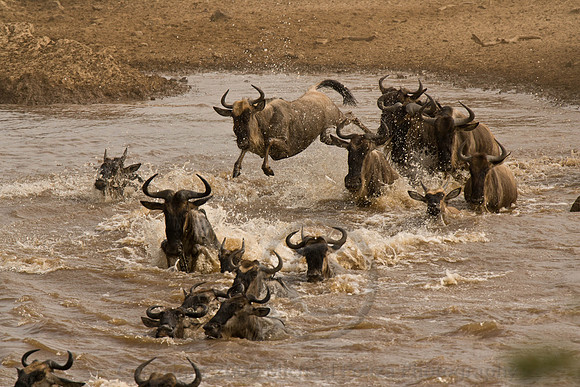 HELI-AFRICA
