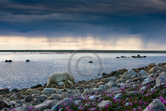 0808_CA_W5F1275_RGB-Edit