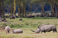 0805 KENYA_W5F9969
