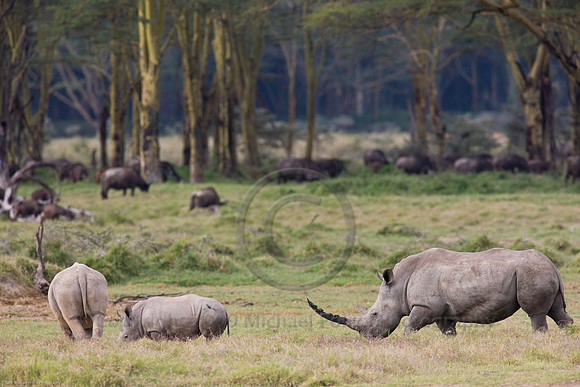 0805 KENYA_W5F9969
