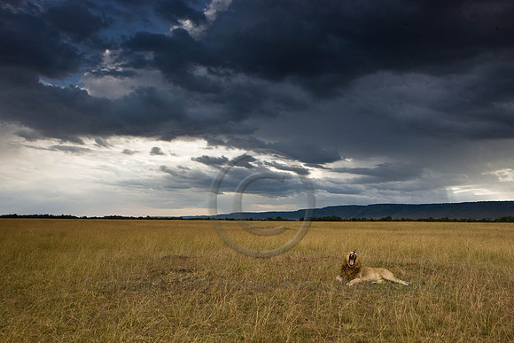0805 KENYA_W5F3828