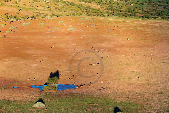 HELI-AFRICA